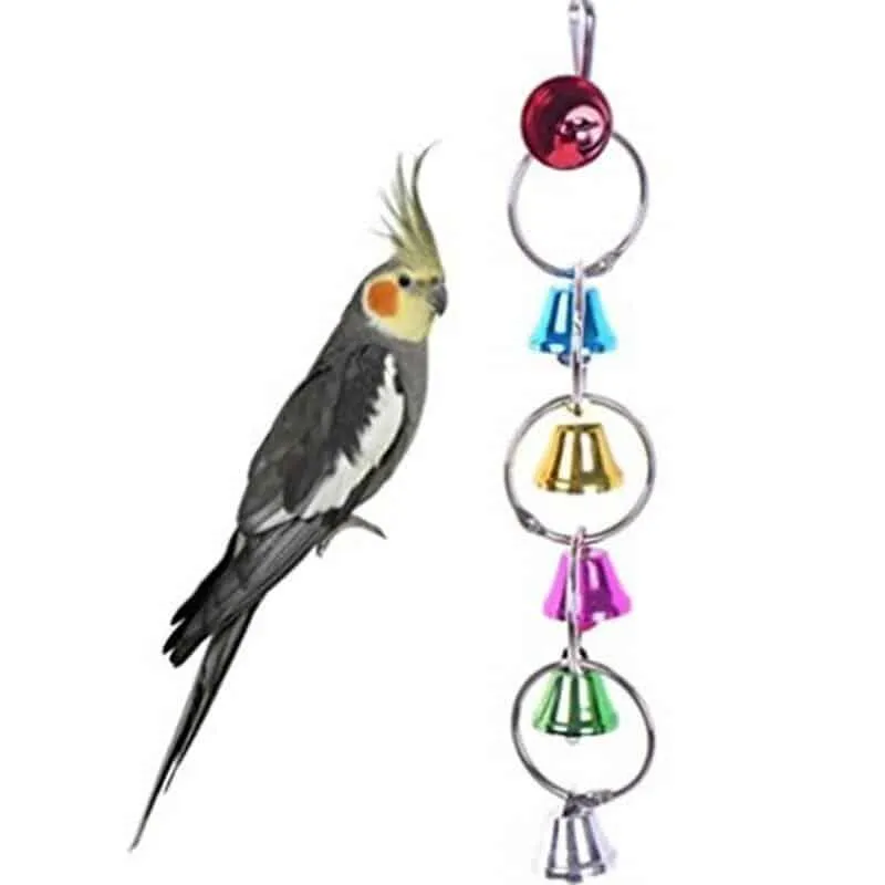 Chain Styled Bird Toy