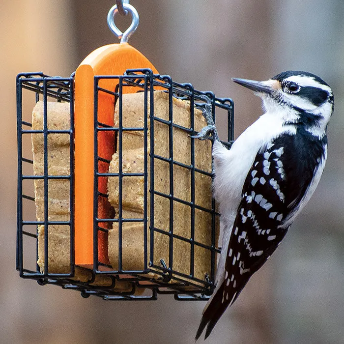Duncraft Double Suet Feeder, Orange