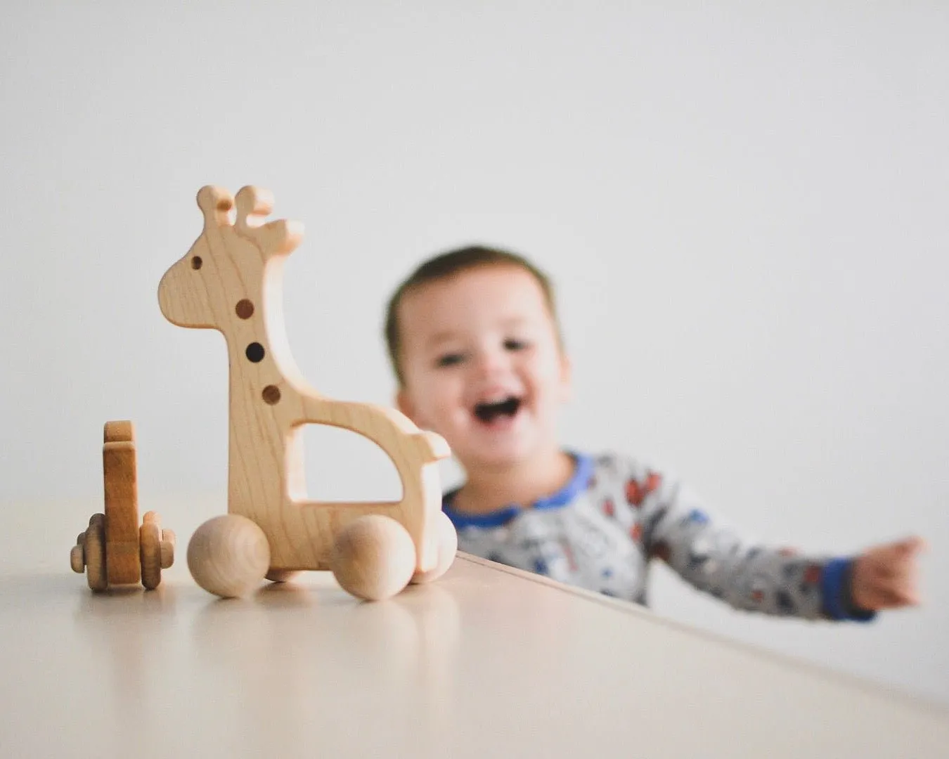 Giraffe Push Toy