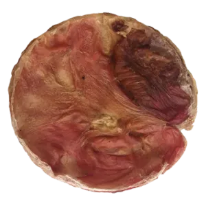 Home Range Furs-Bee Dog Chew
