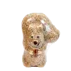Nutzo Squirrel