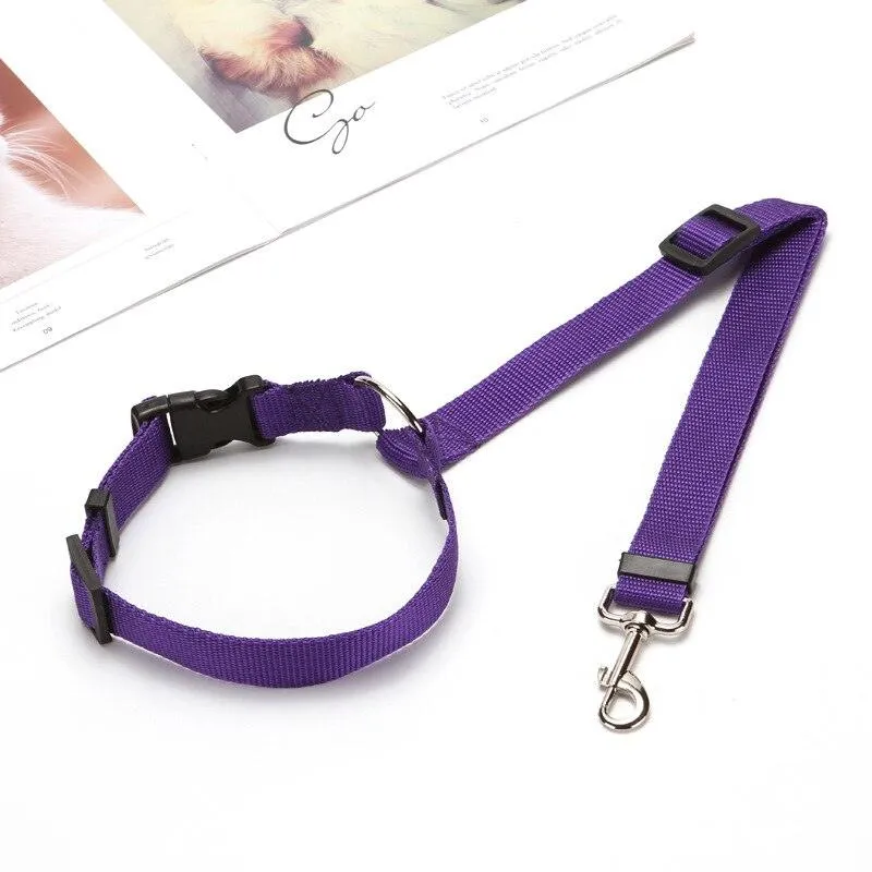 Pet Seat Belt Leash