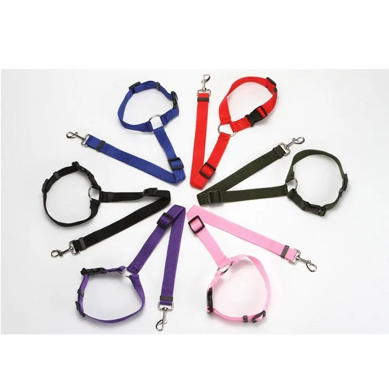 Pet Seat Belt Leash