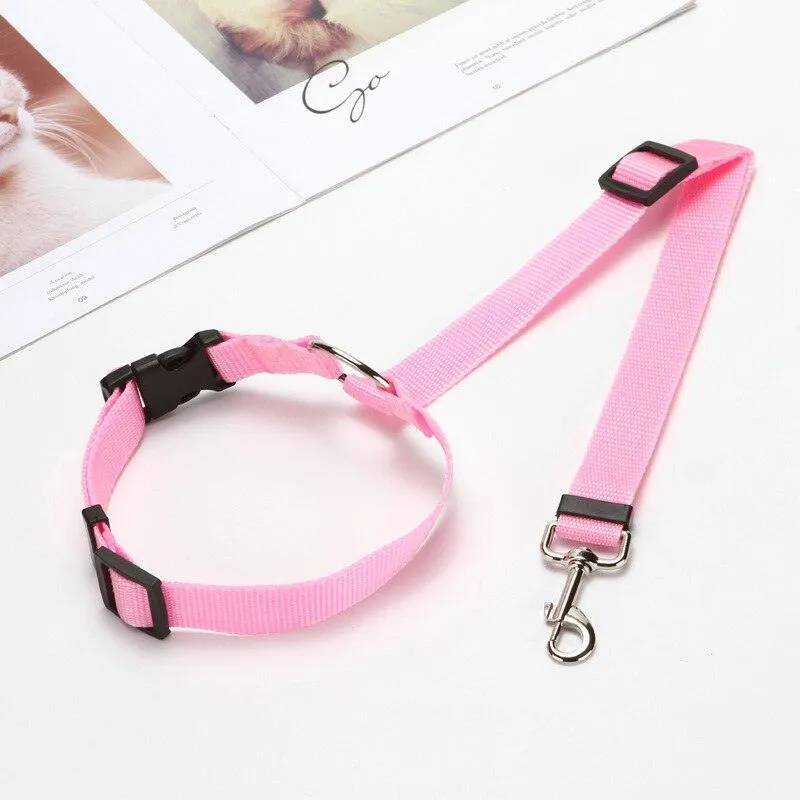 Pet Seat Belt Leash