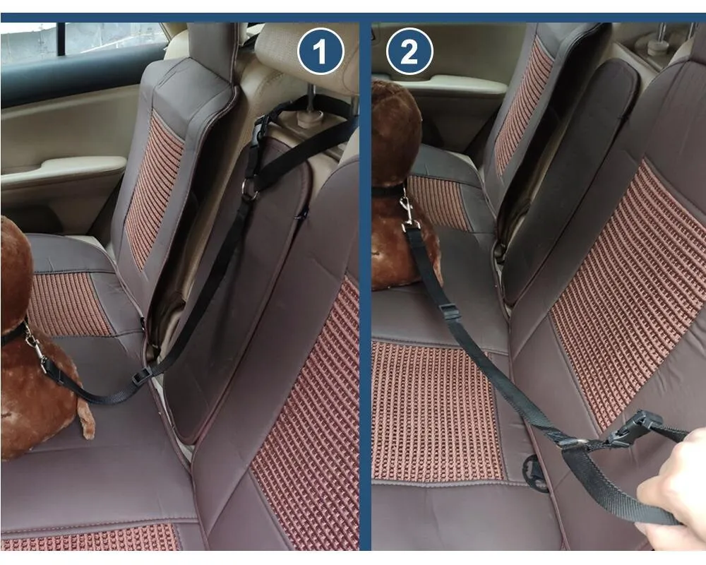 Pet Seat Belt Leash